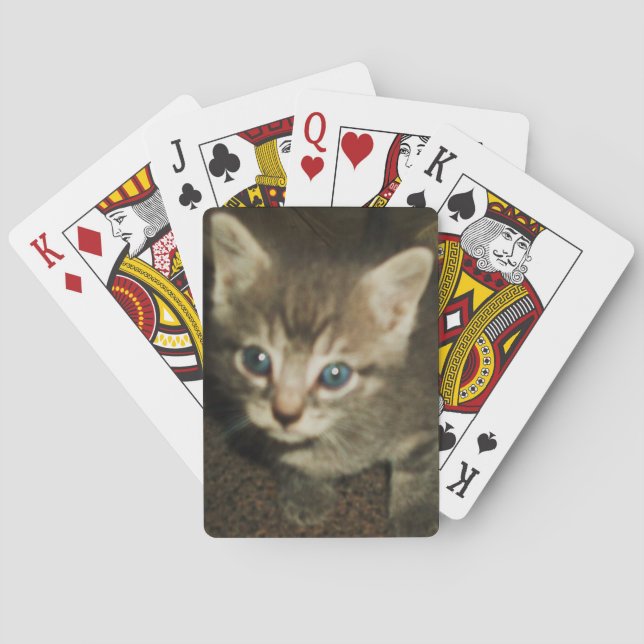 Baralho Placas de jogar GATINHO AZUL (Verso)