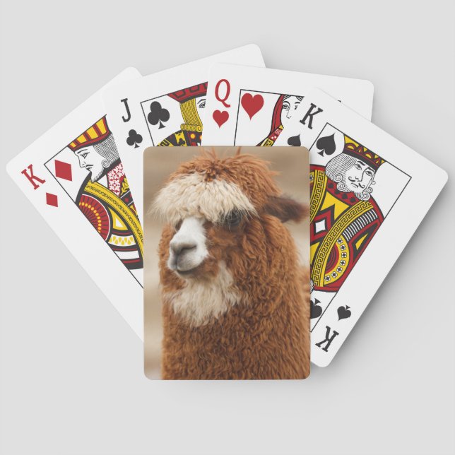 Baralho Placas de jogo Alpaca (Verso)