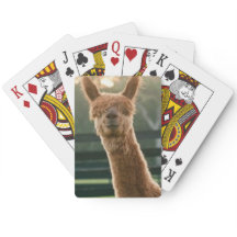 Placas de jogo alpaca sorridentes