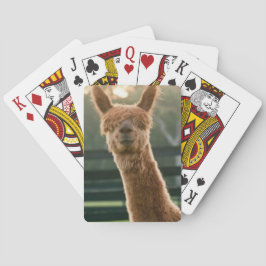 Baralho Placas de jogo alpaca sorridentes