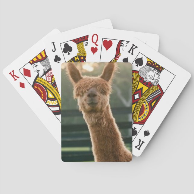 Baralho Placas de jogo alpaca sorridentes (Verso)