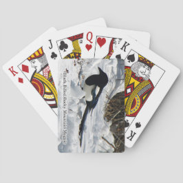 Baralho Placas de jogo Black Billed Mountain Magpie