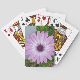 Baralho Placas de jogo com suporte para ventiladores