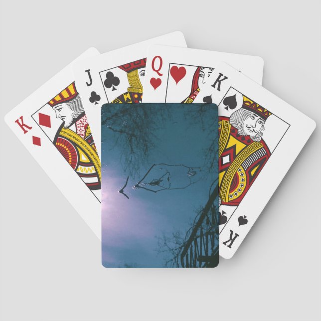 Baralho Placas de Reprodução (Verso)