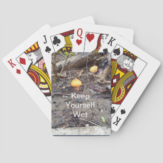 Baralho Placas de Reprodução Clássicas