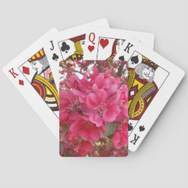 Baralho Placas de Reprodução da Flor de primavera