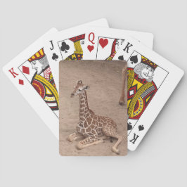 Baralho Placas de Reprodução da Princesa