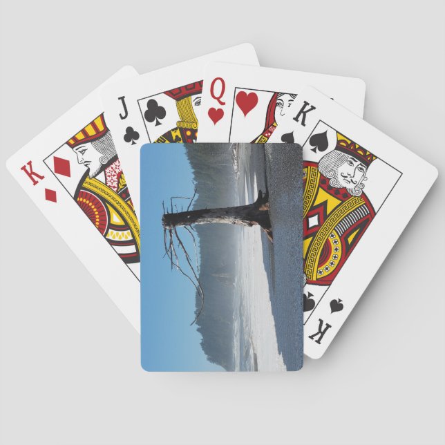 Baralho Placas de Reprodução de Árvore Funky (Verso)