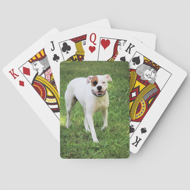 Baralho Placas de Reprodução de Boxer (Verso)