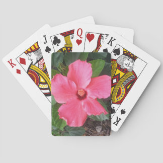 Baralho Placas de Reprodução de Flor Rosa