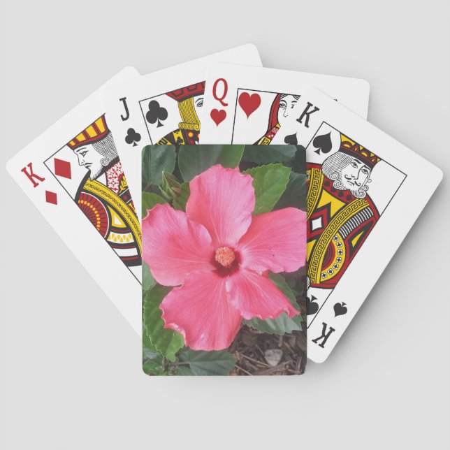 Baralho Placas de Reprodução de Flor Rosa (Verso)