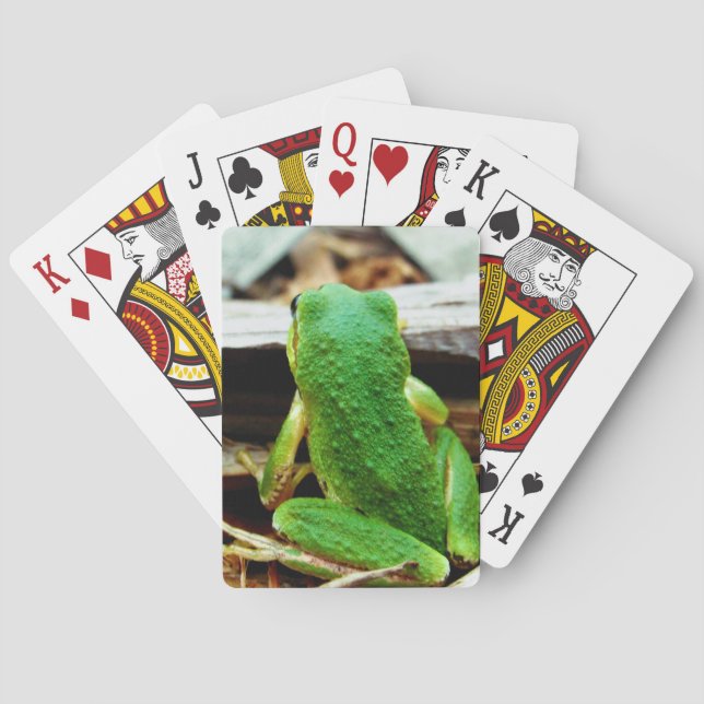 Baralho Placas de Reprodução de Sapo (Verso)