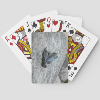 Baralho Placas de Reprodução do sapo