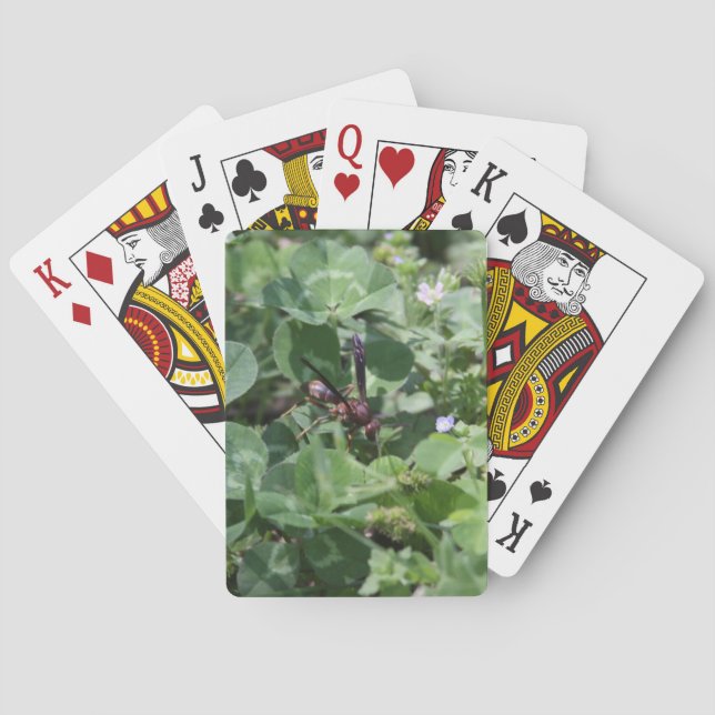 Baralho Placas de Reprodução Wasp (Verso)