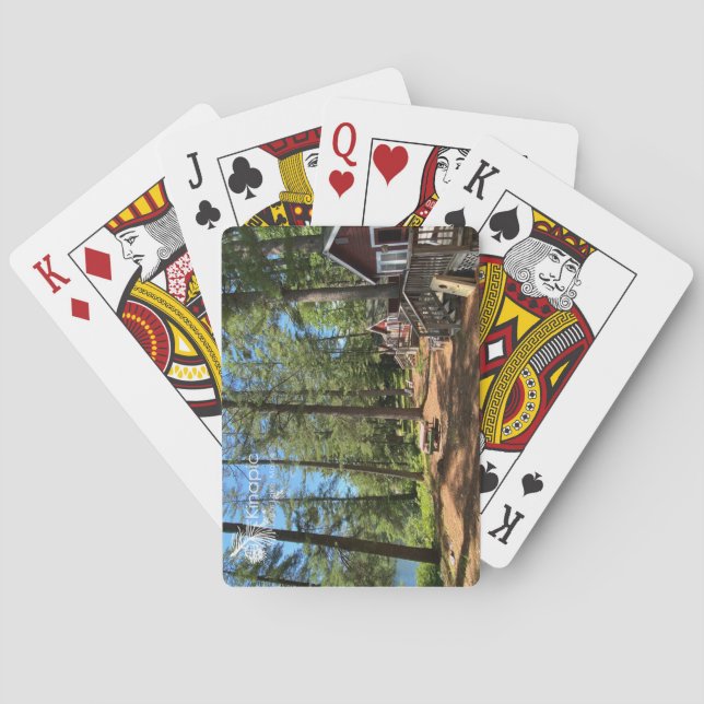 Baralho Placas em Reprodução (Verso)