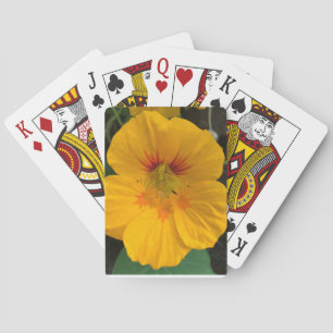 Baralho Plataforma da flor de cartões havaiana amarela -