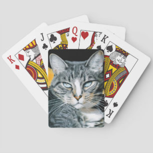 Baralho Plataforma de cartão do gatinho de Zoe