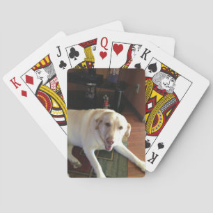 Baralho Plataforma de Labrador de cartões