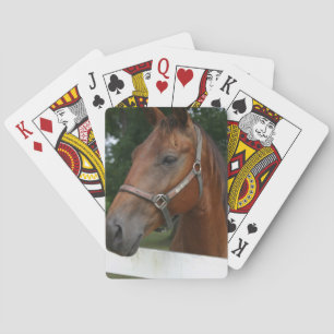 Baralho Plataforma do cavalo da castanha de cartões