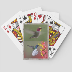 Baralho Plataforma dos colibris de cartões de jogo