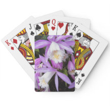 Plione Windowsill Orchids Floral