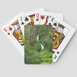 Baralho Plush Thunderbird Painterly