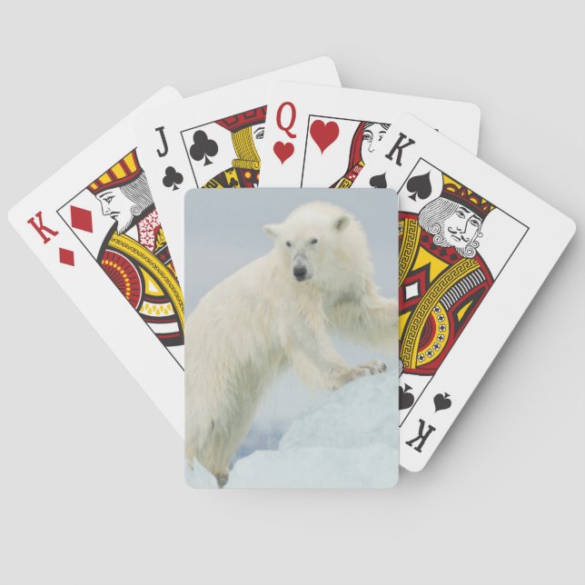 Baralho Polar bear in summer (Verso)
