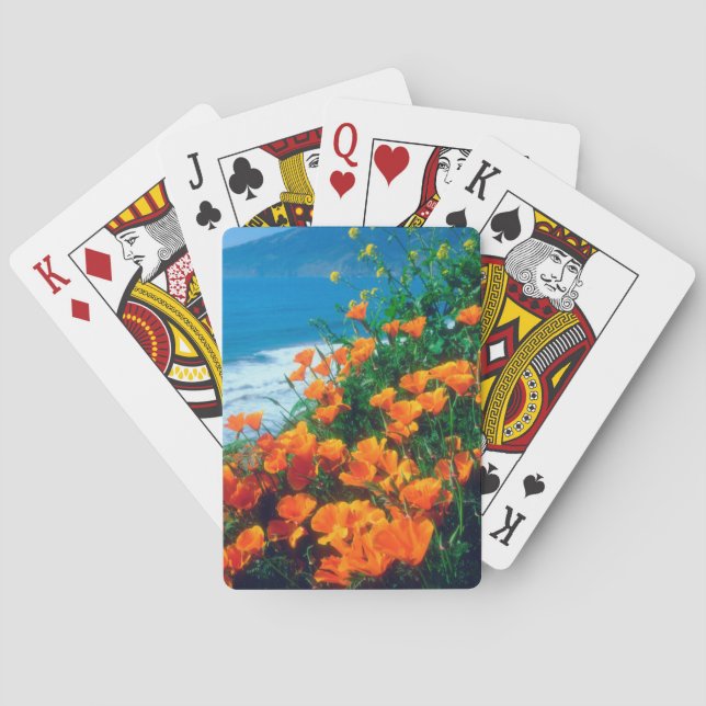 Baralho Poppies ao longo da costa do Pacífico perto de Big (Verso)