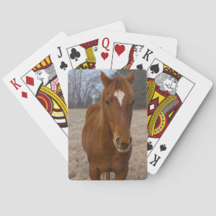 Baralho Pose do cavalo