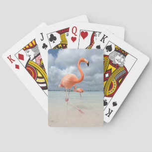 Baralho Praia Aruba dos flamingos