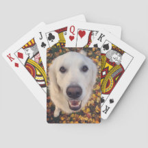 presente de cão bonito para pais de estimação