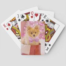 Presente de Natal Cachorro Filhote