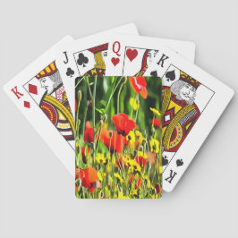 Baralho Primavera Poppies E Pintura Da Flor De Prados