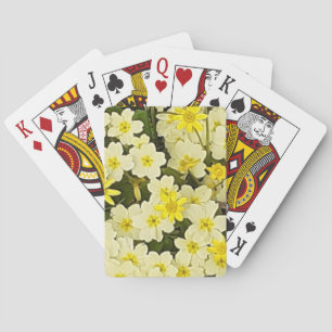 Baralho Primavera Primários
