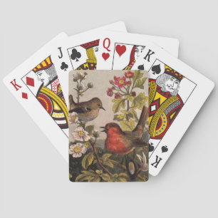 Baralho Primavera Robin Birds Red Birds