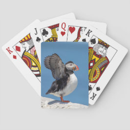 Baralho Puffin Atlântico em Machias, ME