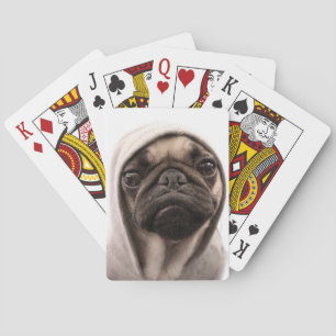 Baralho Pug em um Hoodie