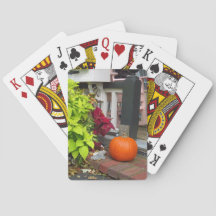 Pumpkin e Coleus - Martha's Vineyard