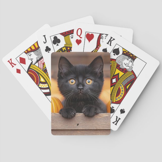Baralho Pumpkin Patch Kitten (Verso)