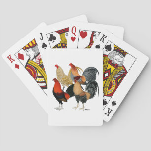 Baralho Quatro Gamecocks