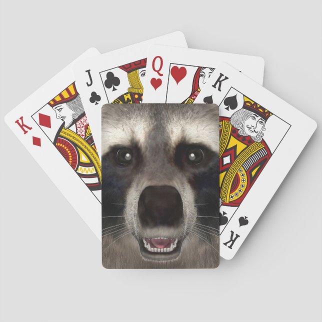 Baralho Raccoon (Verso)