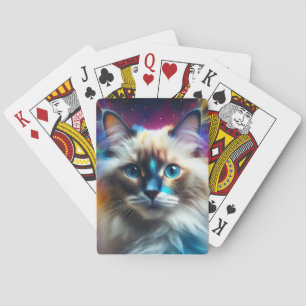 Baralho Ragdoll Raça De Fundo De Explosão De Cores De Gato