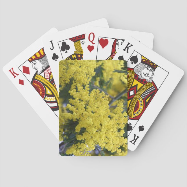 Baralho Ramo de mimosa (Verso)