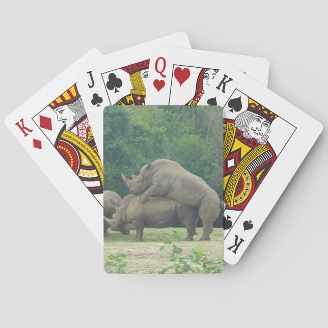 Baralho Randy Rhinos Jogando cartas (Verso)