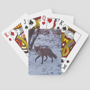 Baralho Raposa Vermelha na Neve