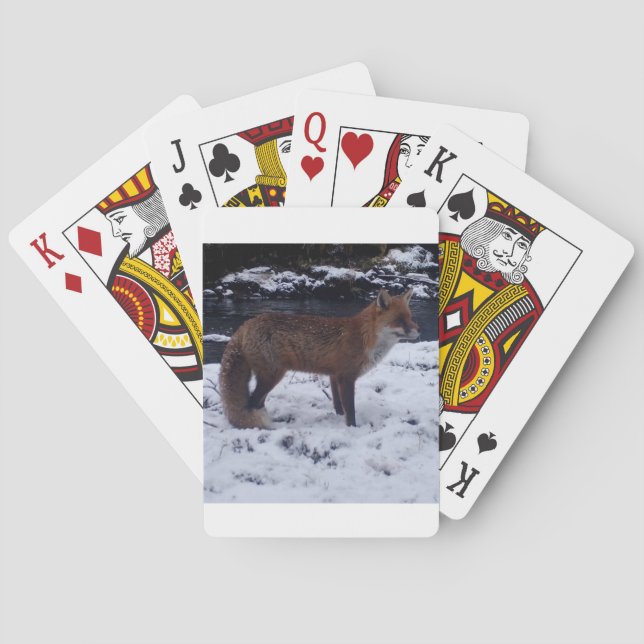 Baralho Raposa Vermelha na Neve (Verso)