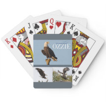 Recordando cartões de jogo de Ozzie