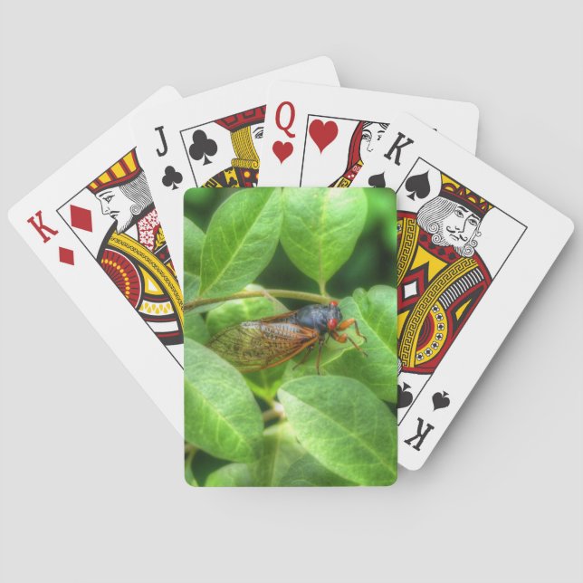 Baralho Red Eyed Cicada (Verso)