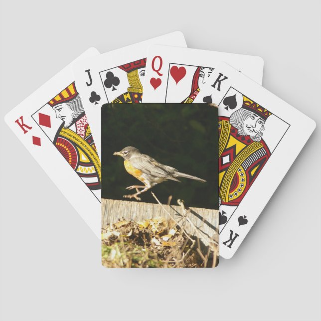 Baralho Red Robin (Verso)