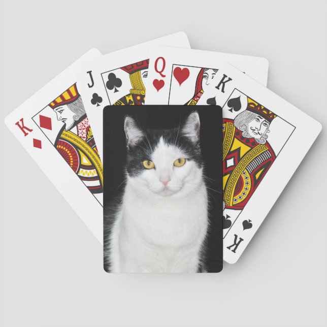 Baralho Retrato de Gato Negro e Branco (Verso)